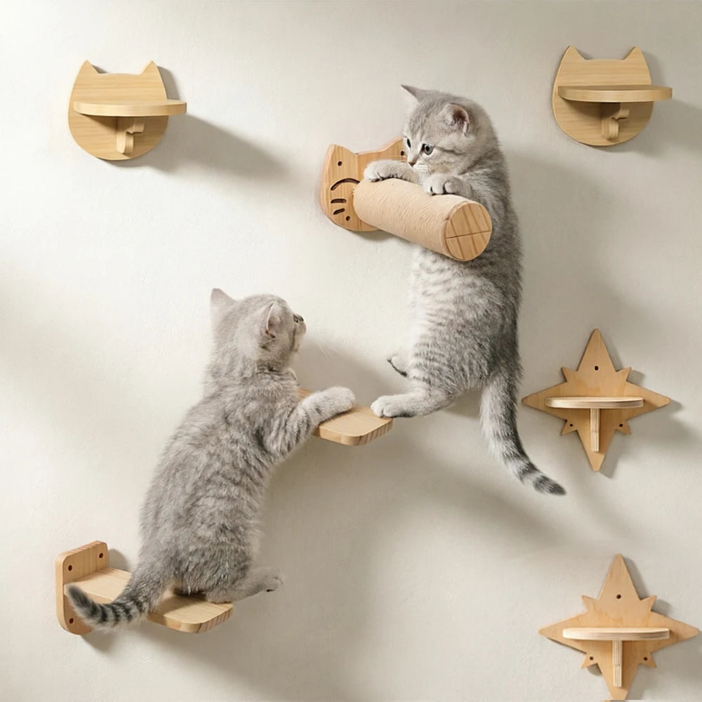 Wall-Mounted Cat Climbing Shelves & Perches