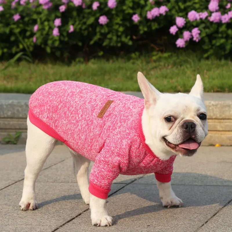Winter Pet Jacket - Warm Coat for Dogs and Cats