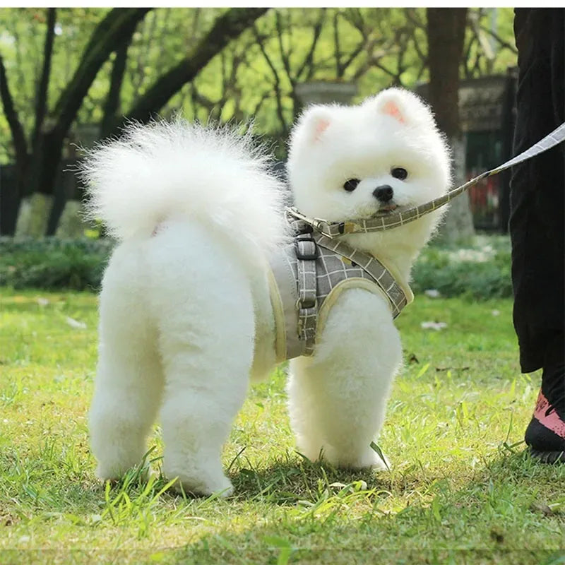 Gilet Tactique pour Chien avec Sangle de Poitrine