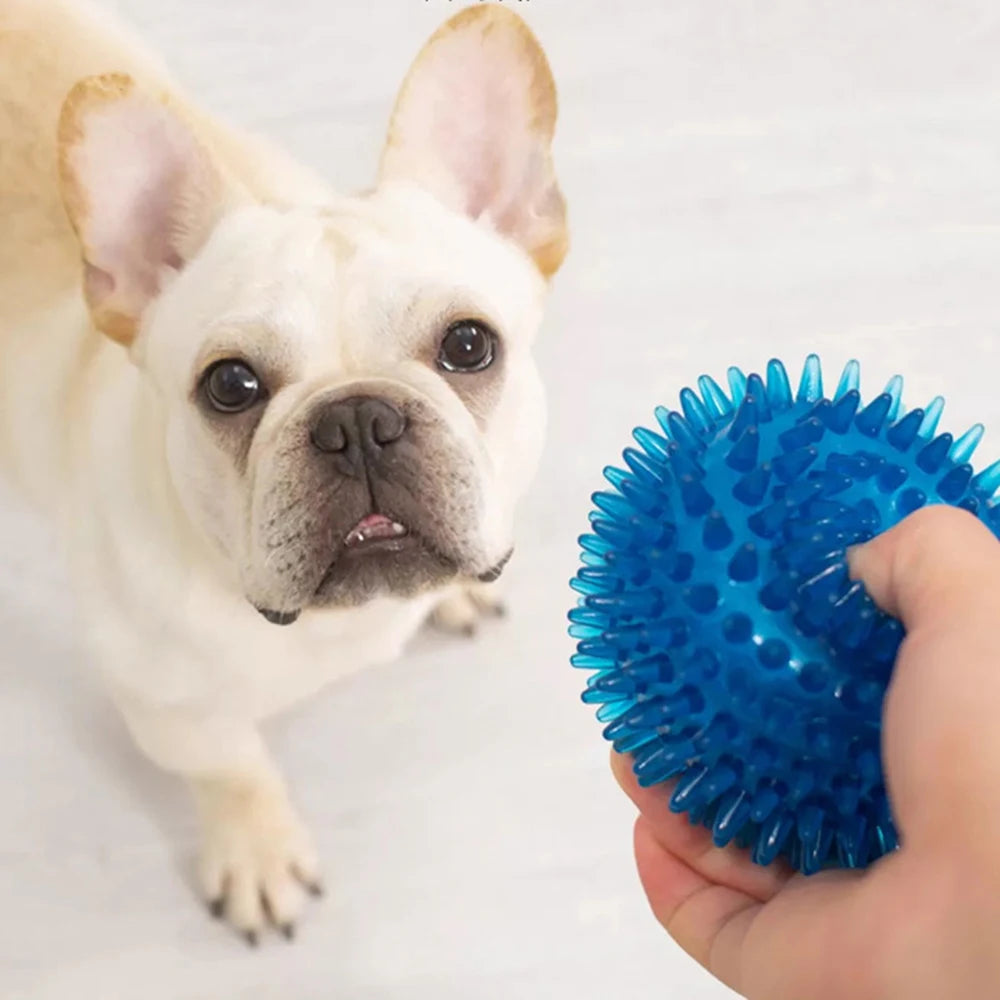 Squeaky Rubber Play Ball for Dogs