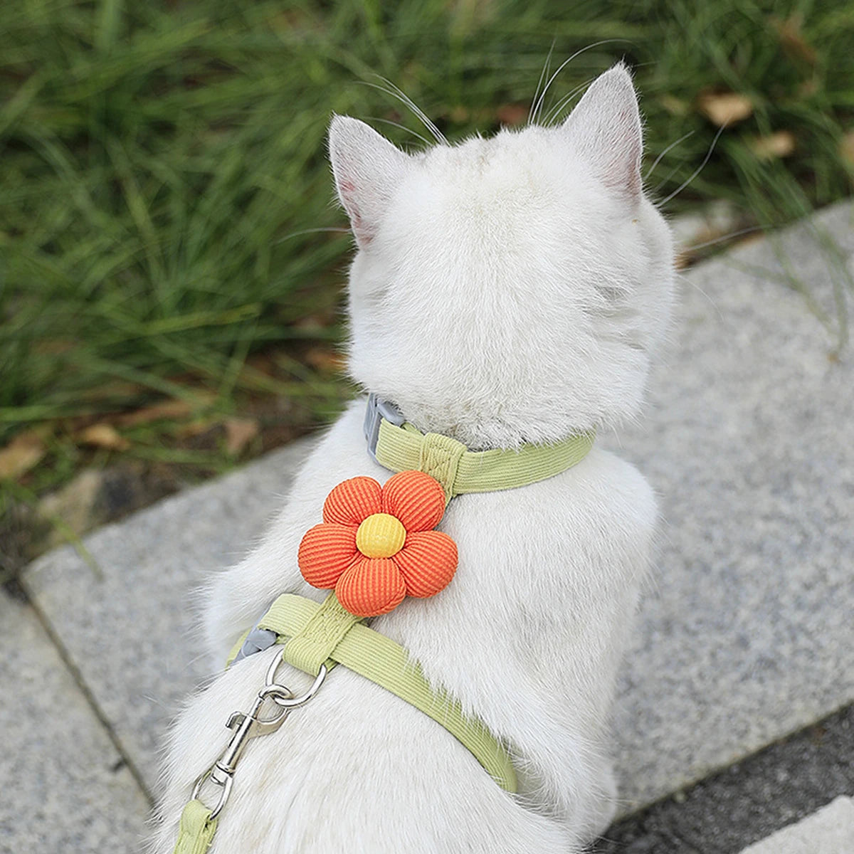 Breathable Adjustable Harness & Leash Set for Cats and Small Dogs