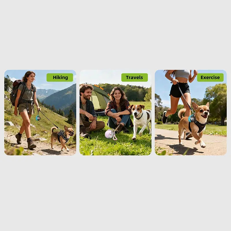 2-in-1 Foldable Dog Water Bottle with Bowl & Lanyard – 285ml Leakproof Travel Drinking Cup