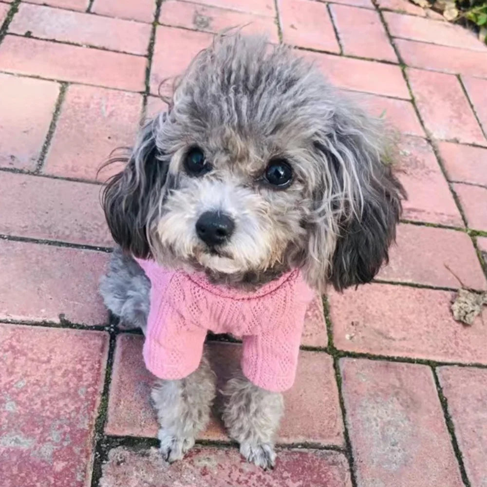 Long-Sleeve Knitted Pullover Sweater for Cats & Small Dogs