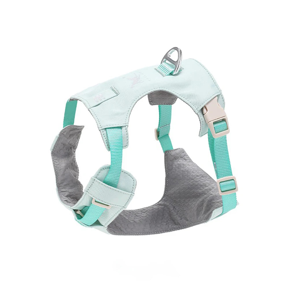 Lightweight Dog Harness & Leash Set Anti-Pull Escape-Proof Pet Walking Lead for Small Medium Large Dogs