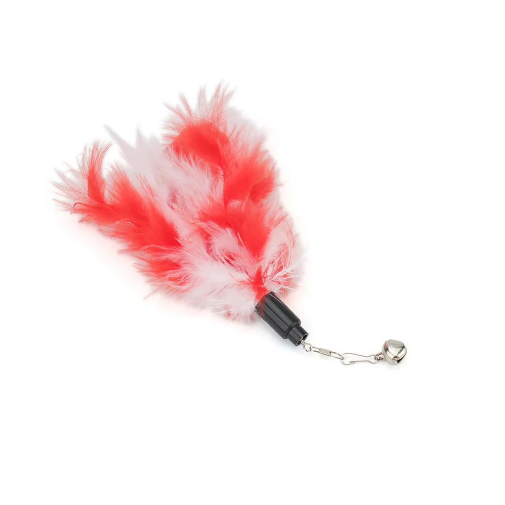 Bright Colour Feather Cat Teaser Replacement Pack (5 Pcs Random Mix)