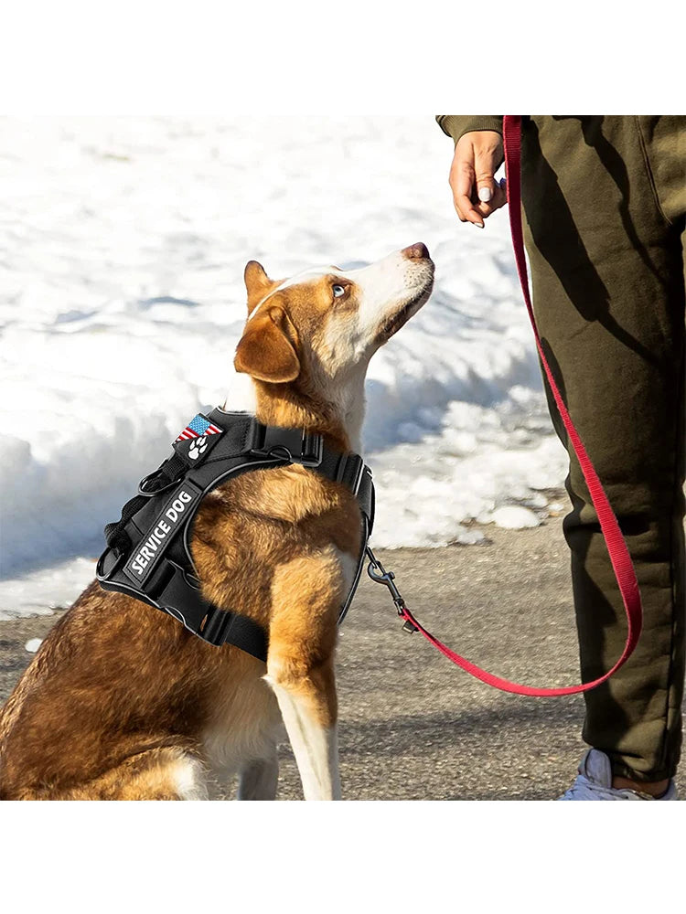 Reflective Service Dog Vest Harness with 5 Patches | Adjustable Soft Oxford Mesh Harness