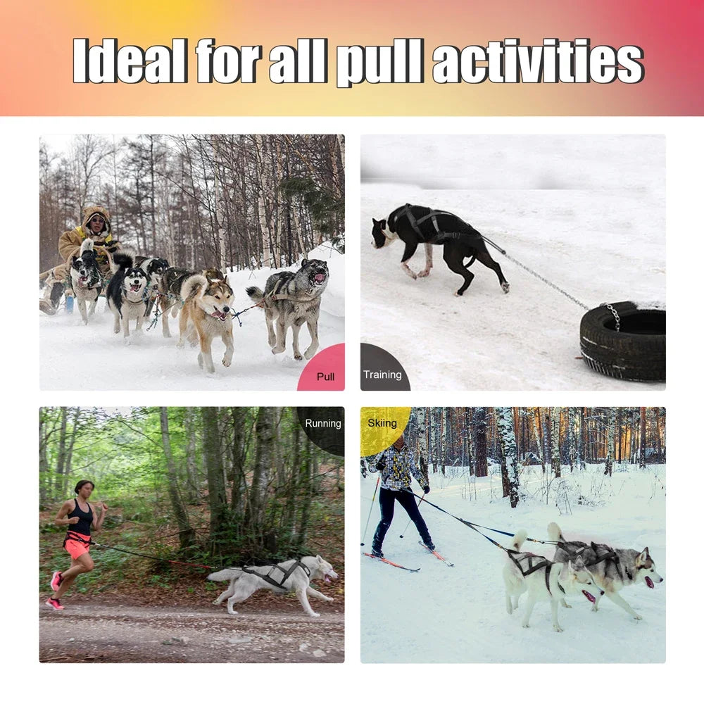 Reflective Padded Dog Sledding Harness for Medium & Large Dogs