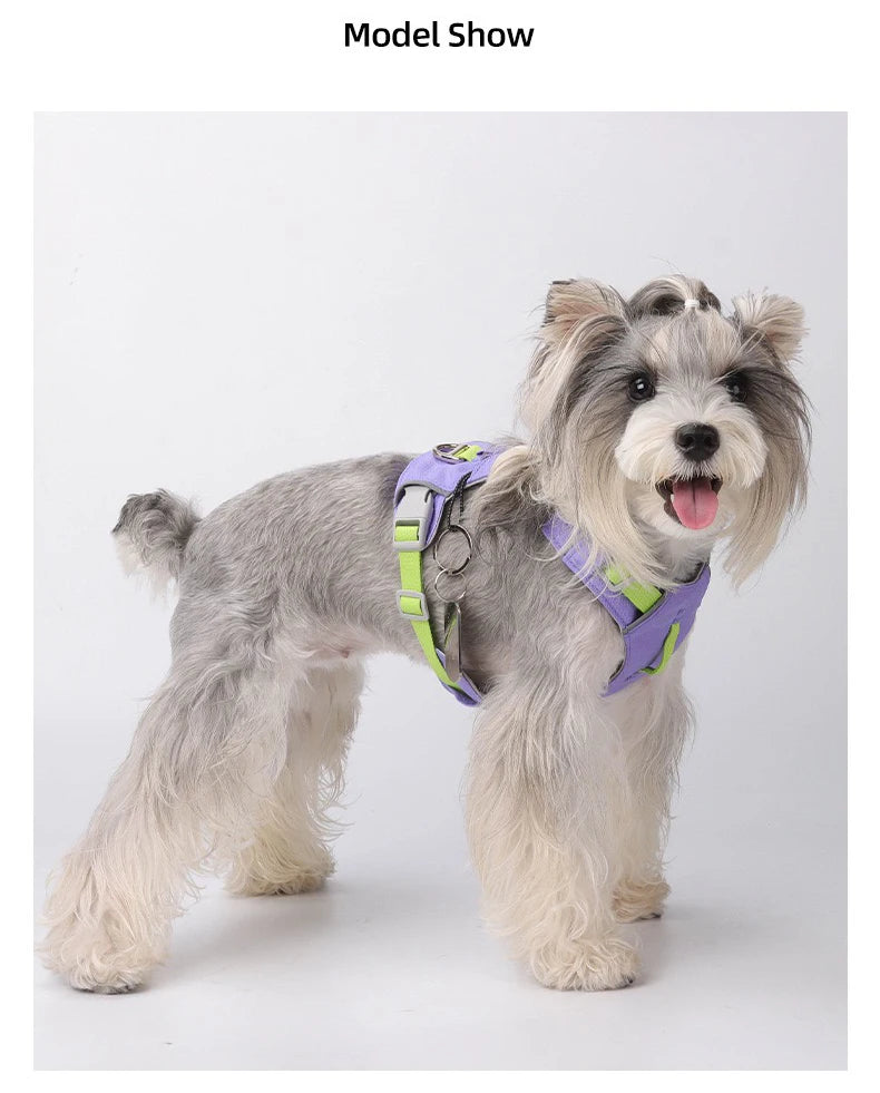Lightweight No-Pull Reflective Dog & Cat Harness Vest