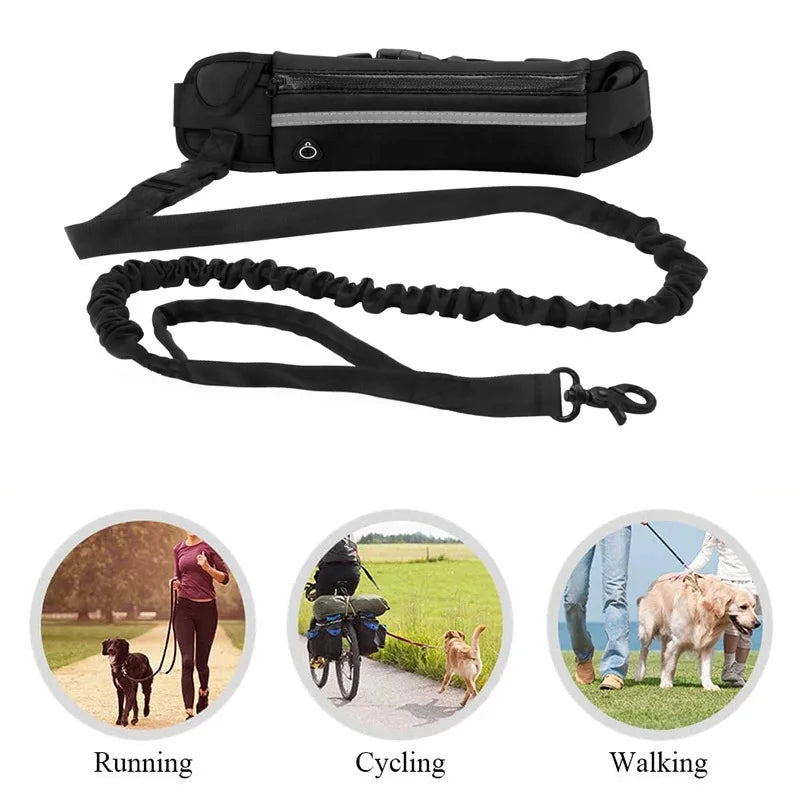 Laisse pour chien mains libres avec ceinture réfléchissante et pochette de rangement