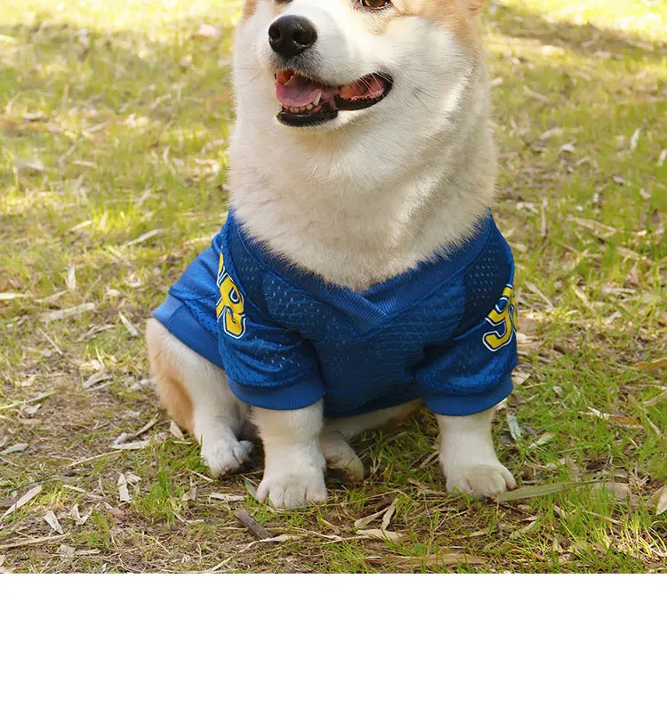 LA Style Dog Cooling Vest | Summer Breathable Shirt for Small to Large Dogs
