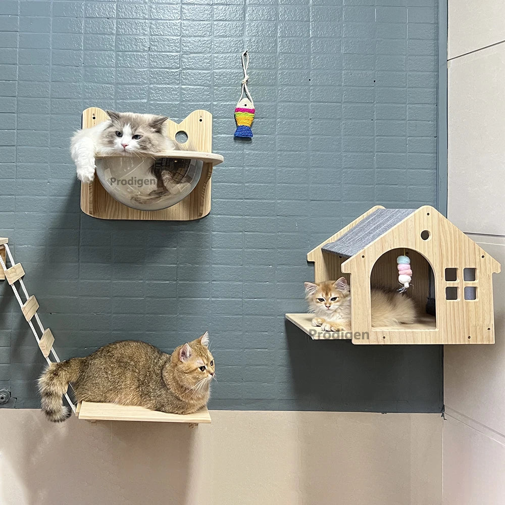 Wall-Mounted Cat Climbing Shelves & Hideaway Houses