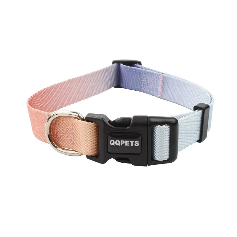 Ensemble laisse et collier réglables en nylon pour chiens - Pour petits et grands chiens