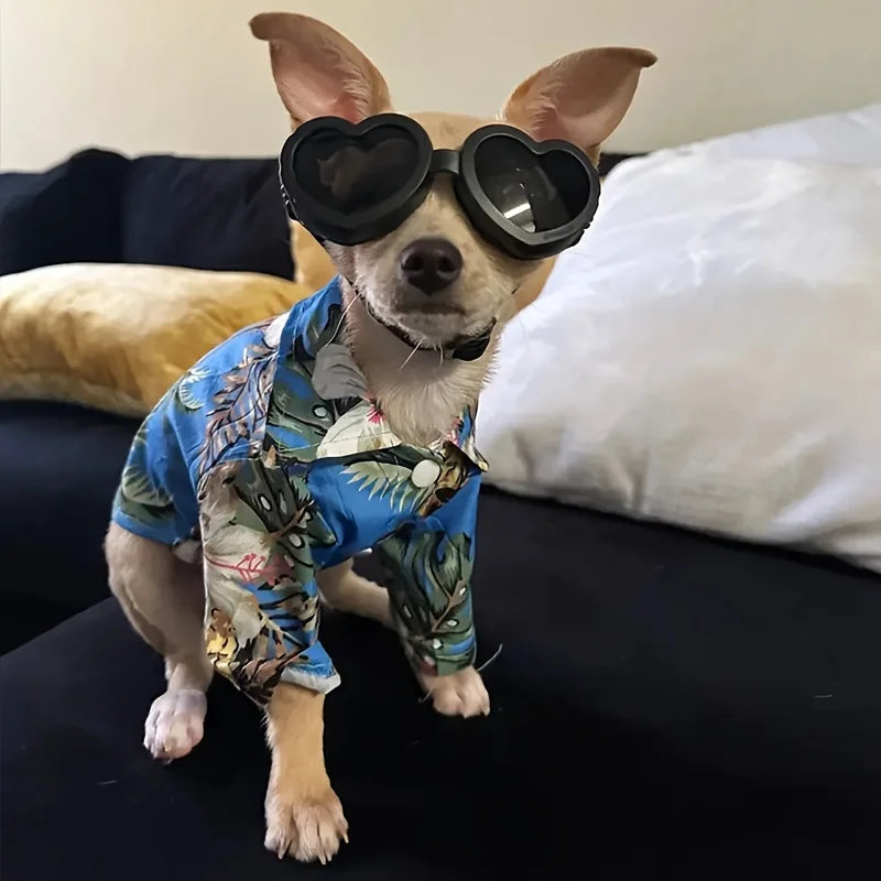 Lunettes de soleil de protection UV pour animaux de compagnie - Protection élégante des yeux pour chiens et chats