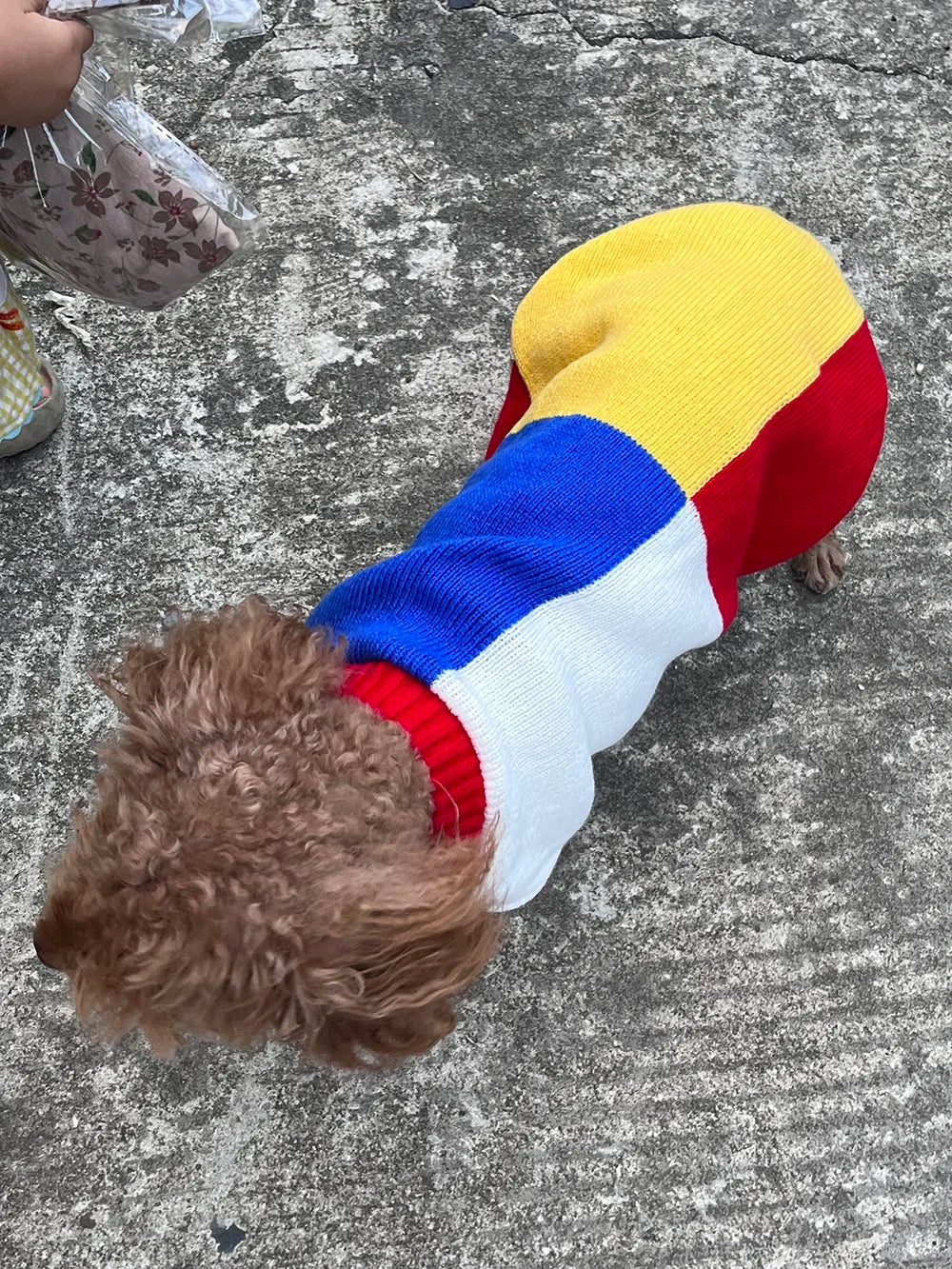 Colour-Block Knitted Sweater for Small Dogs & Cats