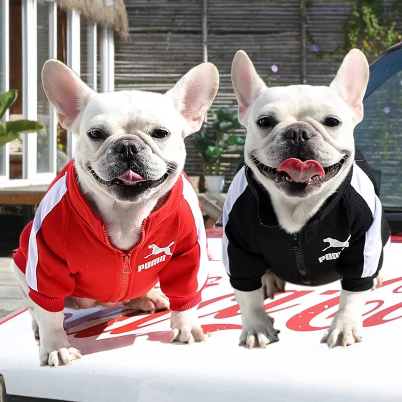 Dog Baseball Jacket | Autumn Winter Sweatshirt Coat for Small & Medium Dogs