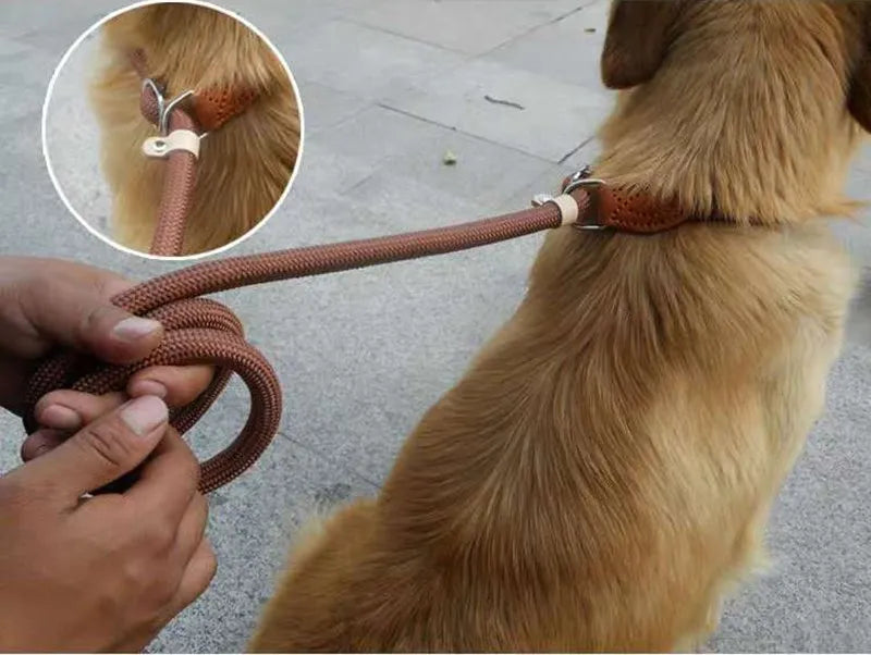 Laisse-collier chien - Corde tressée robuste avec boucle réglable pour grands chiens