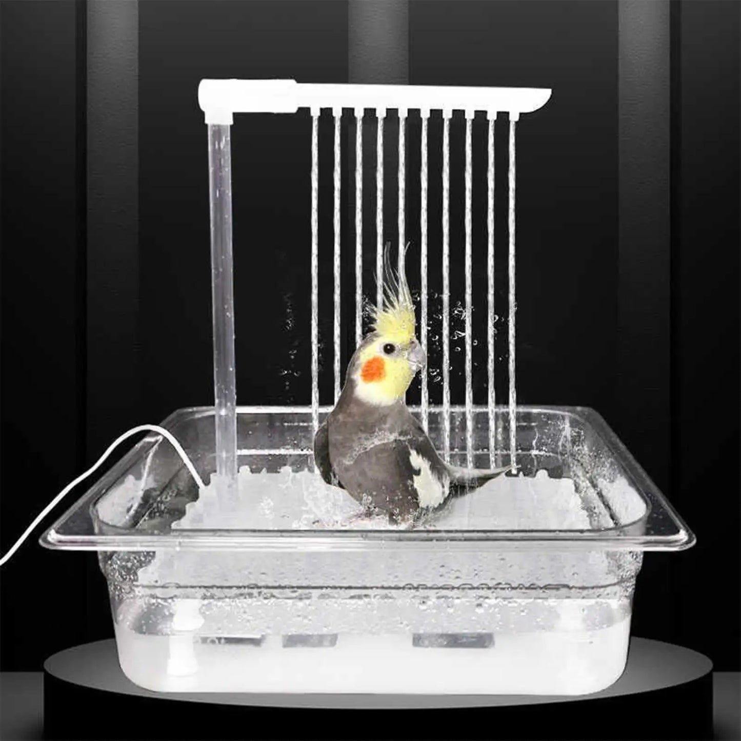 Automatic Bird Bath Fountain with USB Pump for Parrots & Cage Birds