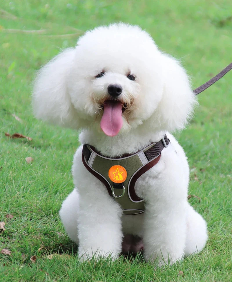 Reflective Soft Mesh Dog Harness with Dual Lead Hooks – No-Pull Vest for Small & Medium Dogs