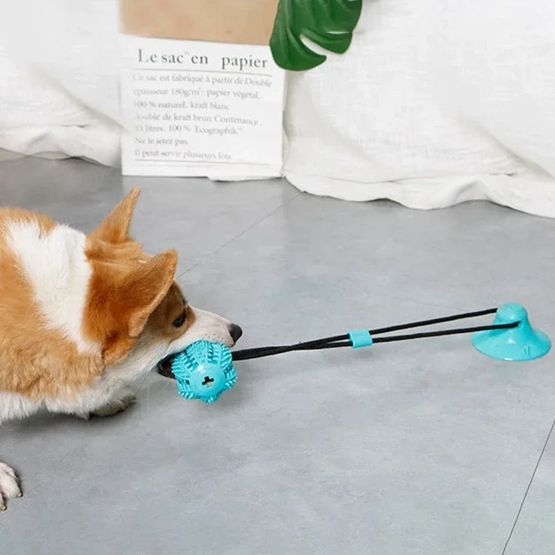 Suction Cup Tug Toy with Ball