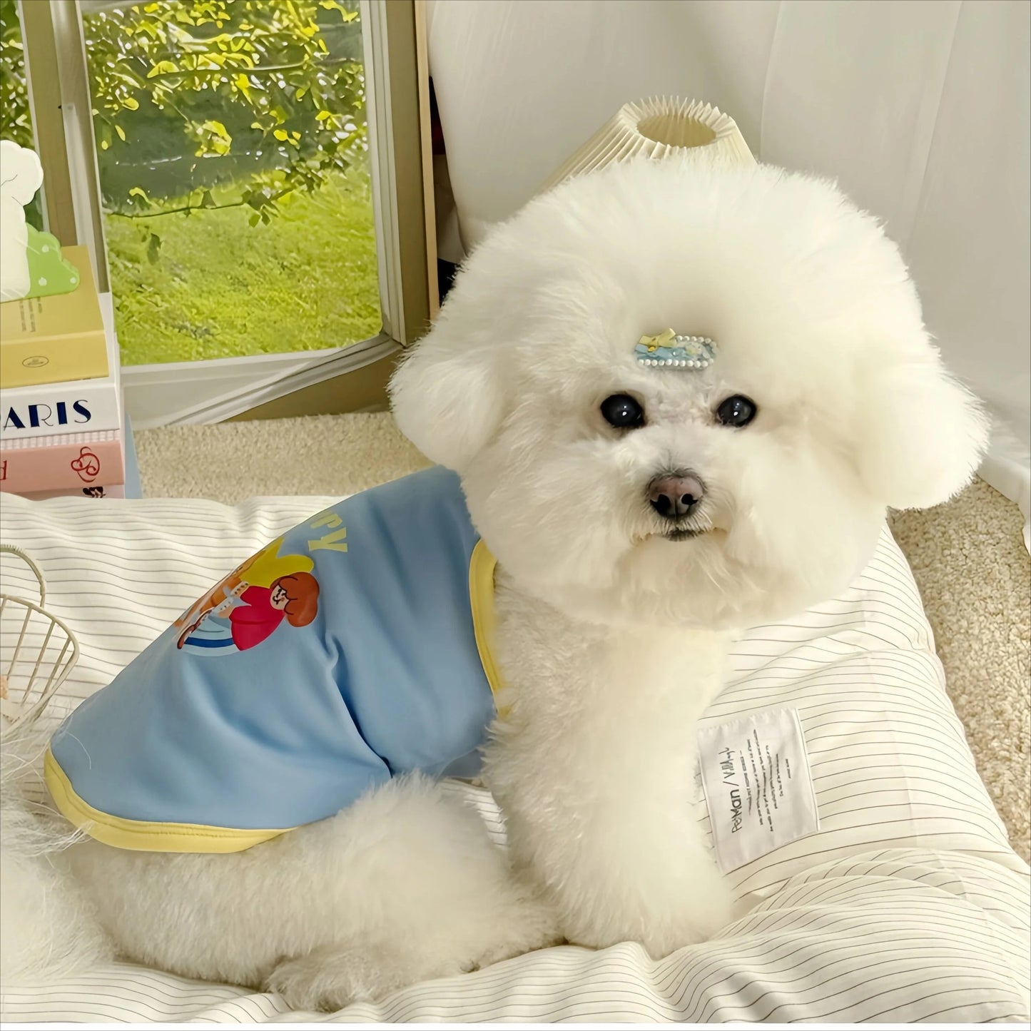 Robe et gilet rafraîchissants 2 en 1 pour petits chiens et chats | Jupe d'été respirante "Princesse" pour Chihuahuas et chiots