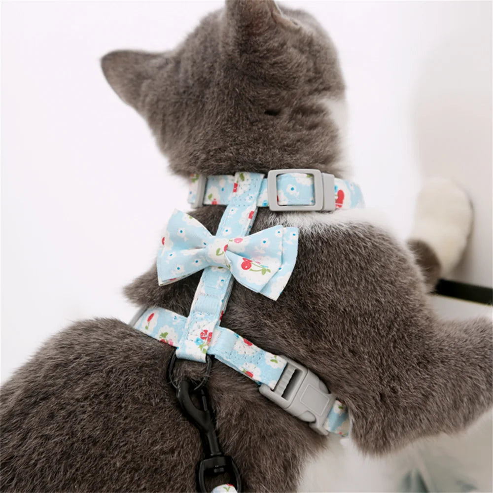 Floral Print Harness & Leash Set for Cats & Small Dogs