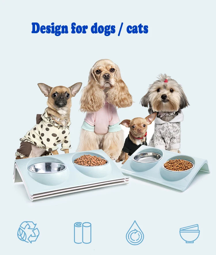 Stainless Steel Double Bowl Feeding Station for Dogs & Cats