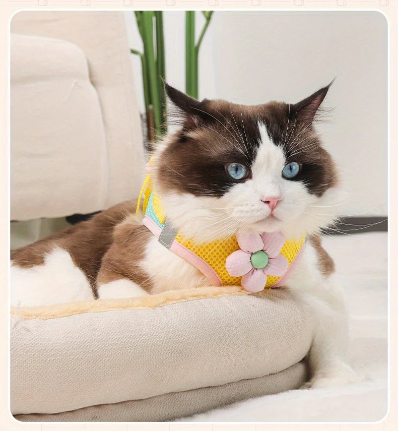 Breathable Mesh Pet Harness and Leash Set