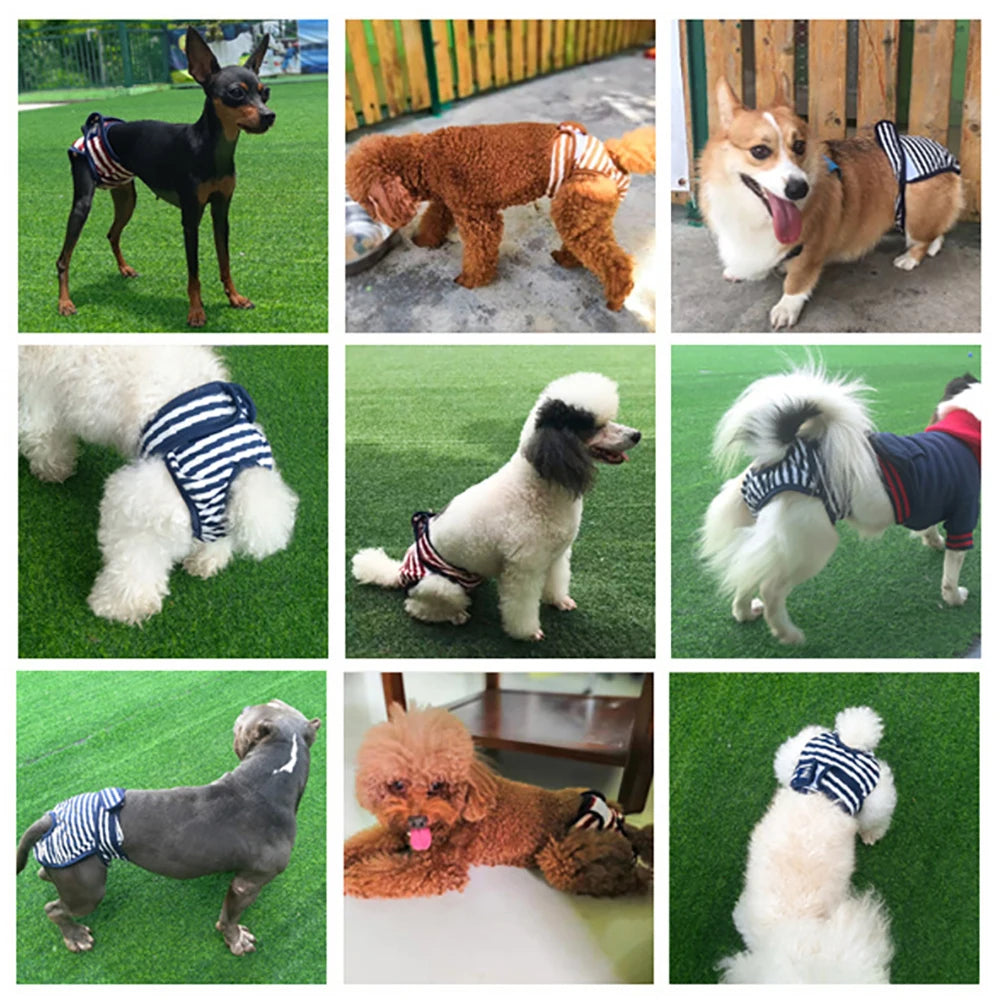 Washable Physiological Pants & Sanitary Briefs for Female Dogs & Cats