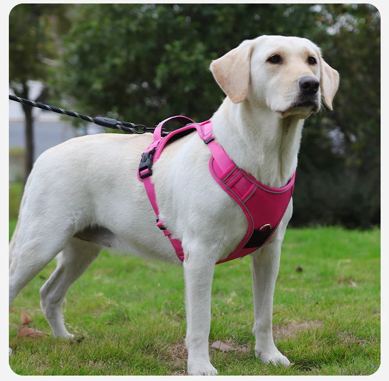 No-Pull Dog Harness with AirTag Holder, Handle & Front Clip — Reflective Padded Vest for Walking & Training