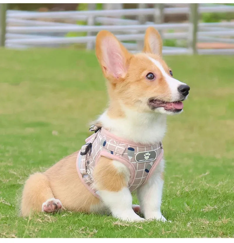 Gilet Tactique pour Chien avec Sangle de Poitrine