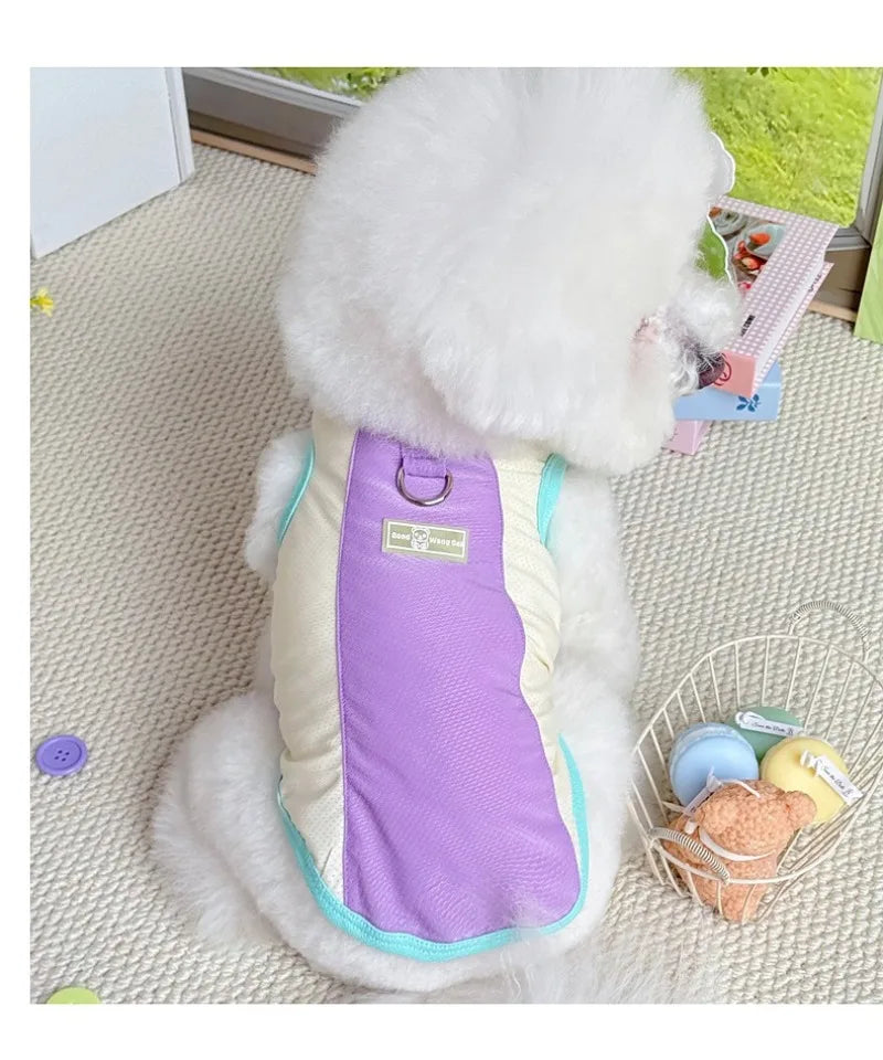 Gilet rafraîchissant réfléchissant et t-shirt d'été pour chiens et chats de petite, moyenne et grande taille