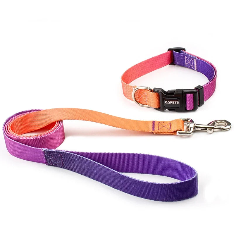 Ensemble laisse et collier réglables en nylon pour chiens - Pour petits et grands chiens