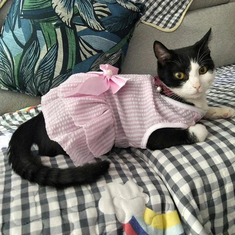 Robe de princesse pour animaux de compagnie - Robe d'été à rayures et carreaux avec nœud pour chats et petits chiens