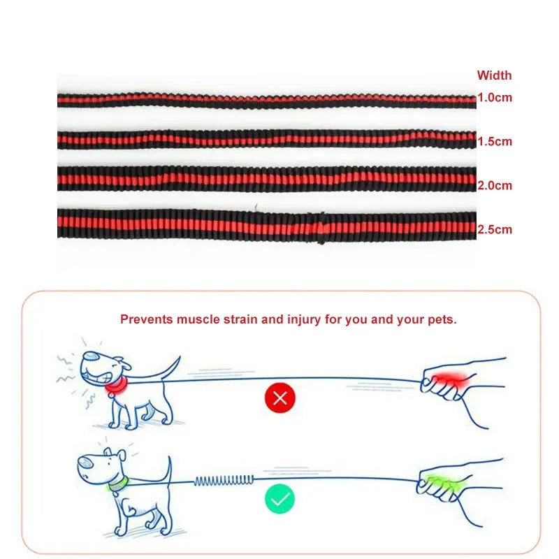 Laisse élastique anti-traction pour animaux (190 cm)