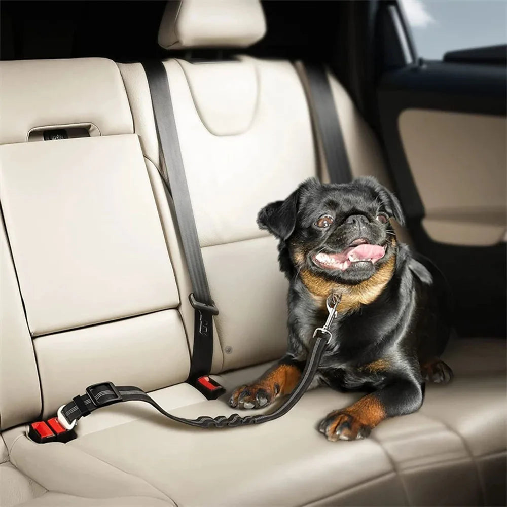 Ceinture de sécurité rétractable pour chien avec bande réfléchissante