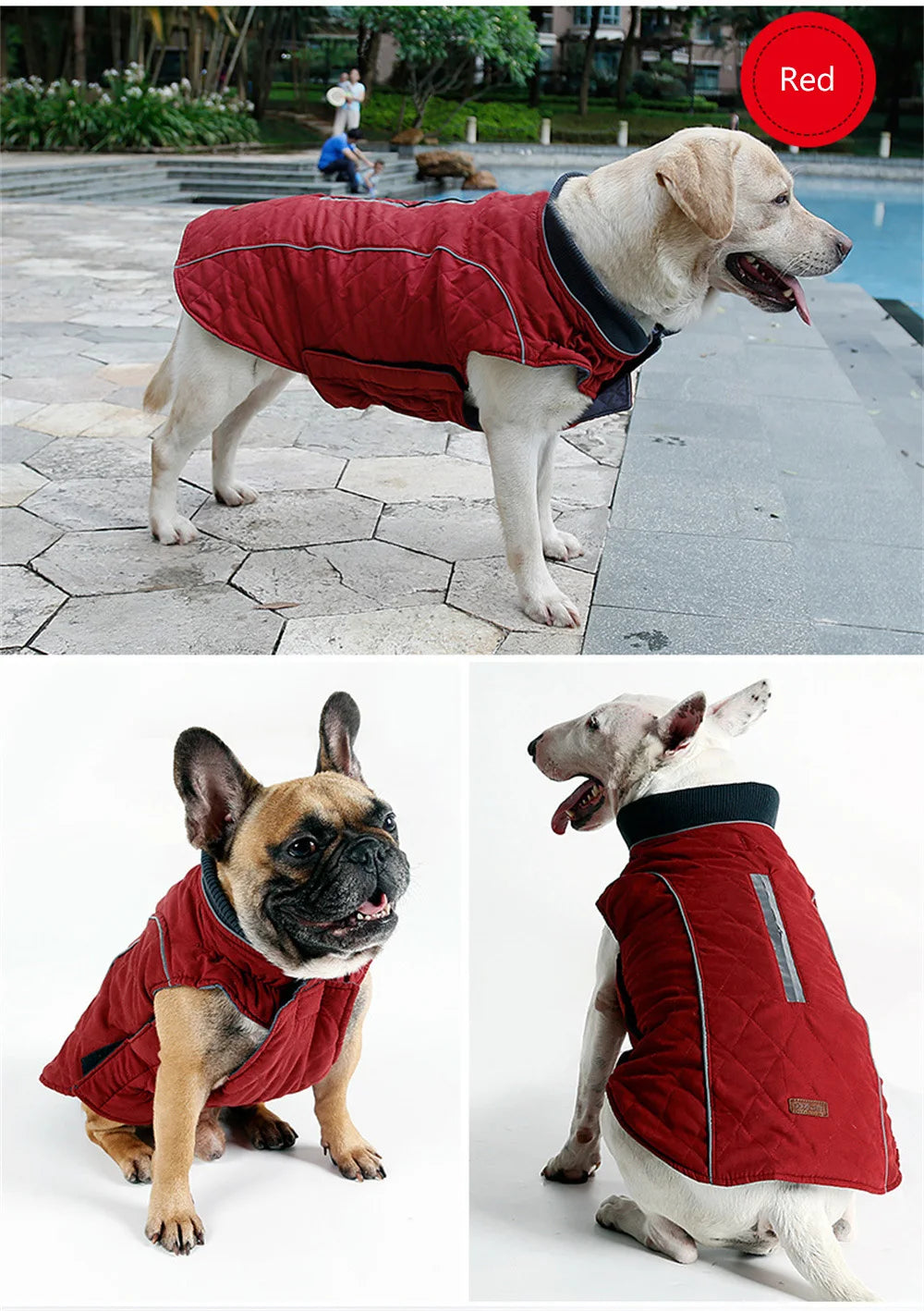 Warm Reflective Winter Jacket for Dogs — XS to 3XL