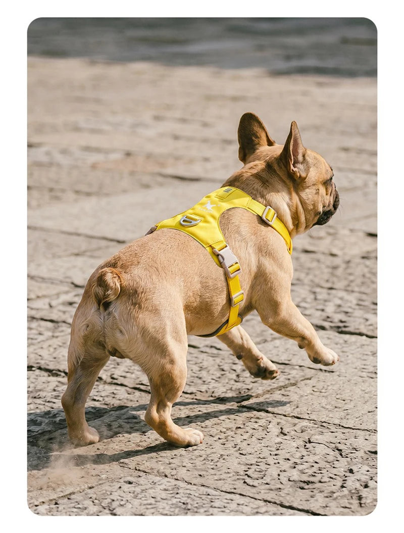 Lightweight Dog Harness & Leash Set Anti-Pull Escape-Proof Pet Walking Lead for Small Medium Large Dogs