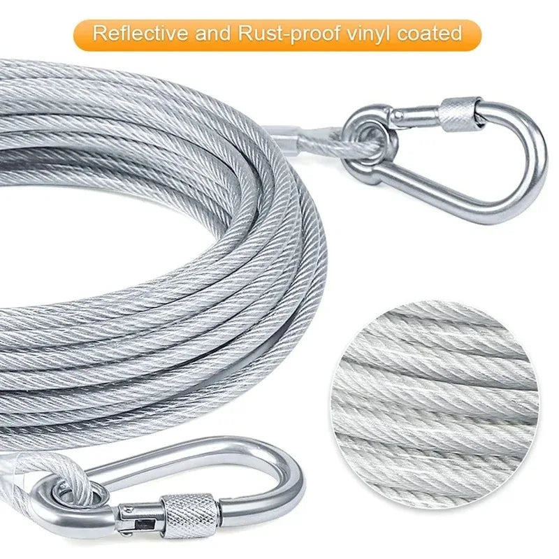 Laisse pour chien, harnais pour chiot, petit collier pour chien, colliers, harnais, laisses, colliers, harnais et sangles