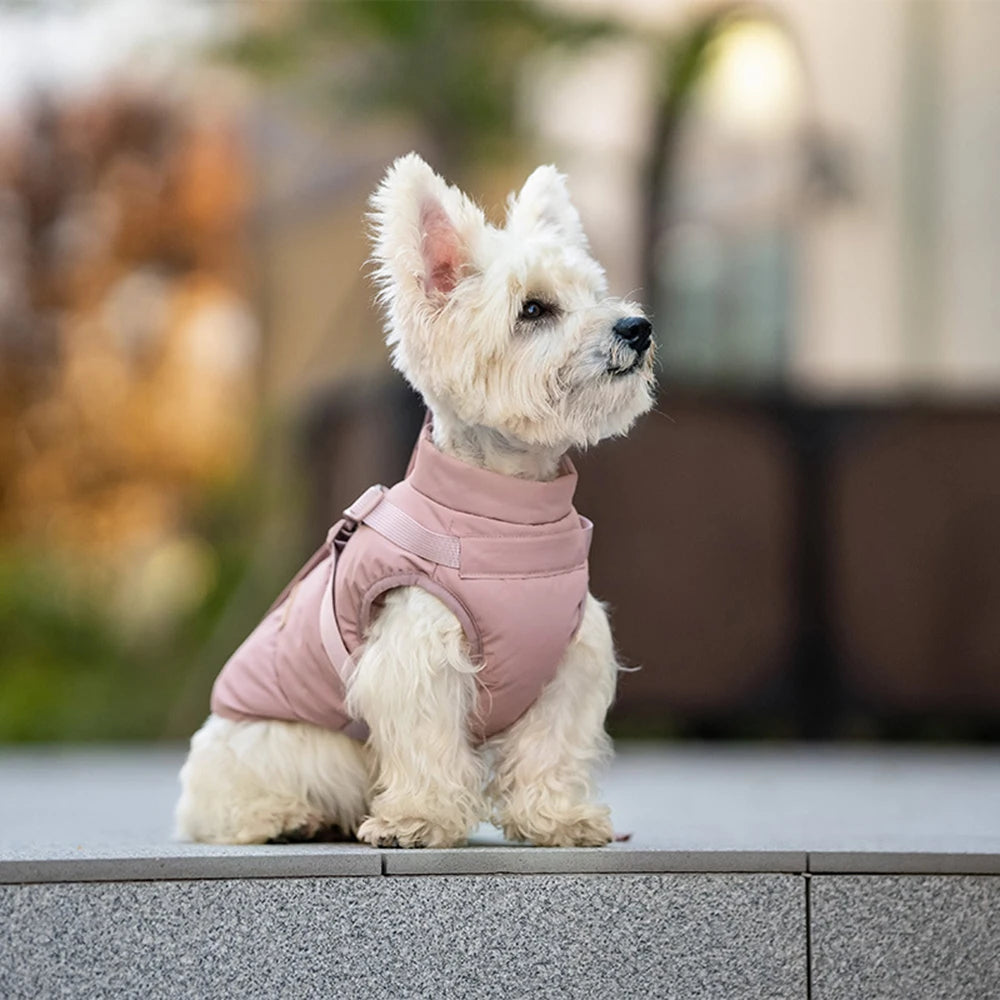 Autumn Winter Pet Clothes Outdoor Dog Jacket with Harness for Small Medium Dogs Thick Warm Pet Cotton-Padded Clothing