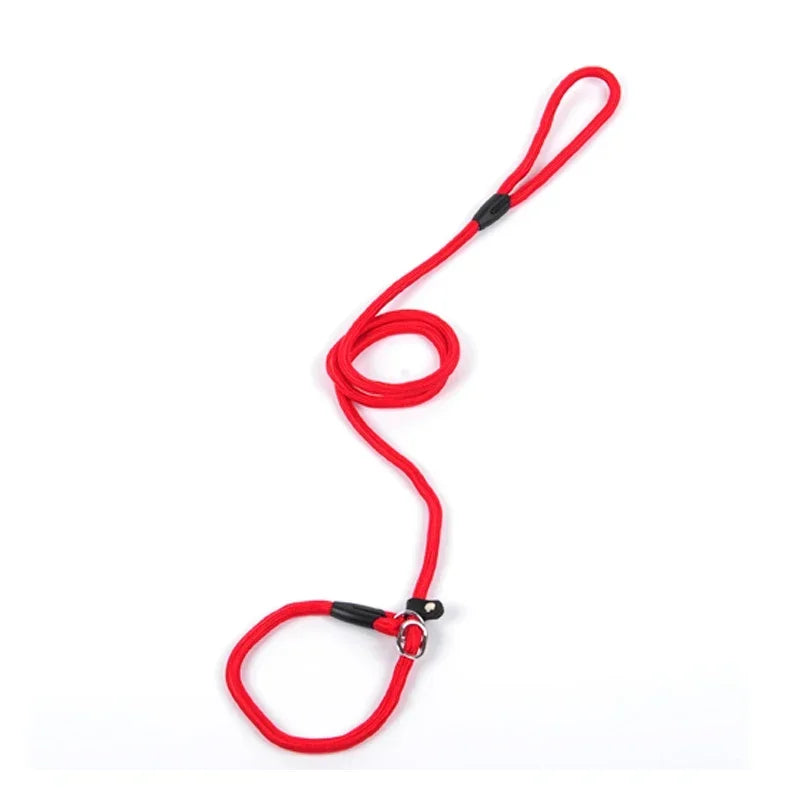 Comfortable Nylon Dog Leash and Collar Set