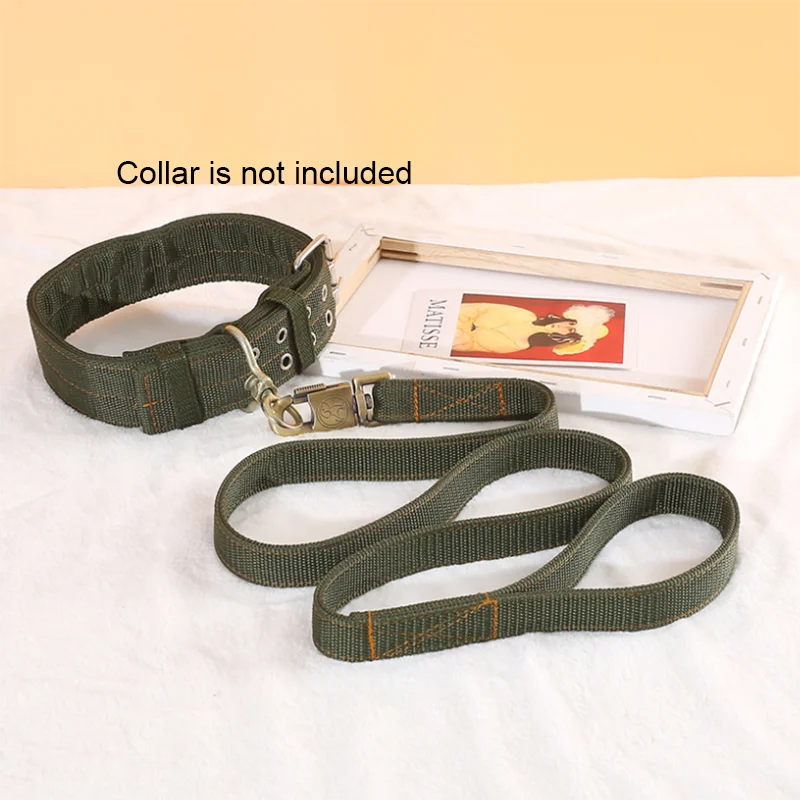 Ensemble laisse et collier pour chien en nylon robuste