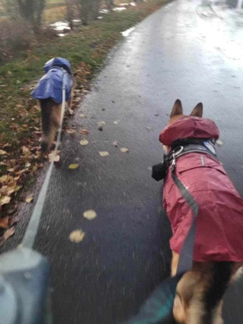 Waterproof Reflective Dog Raincoat with Hood – Sizes S to 6XL