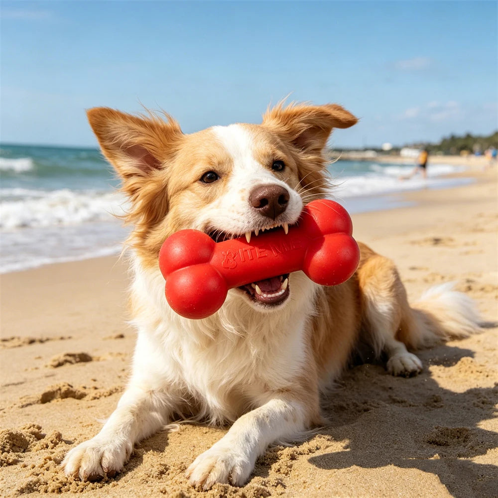Indestructible TPR Dog Chew Toy for Aggressive Chewers