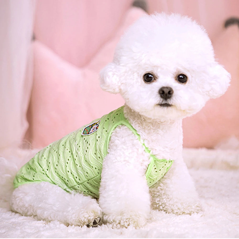 Breathable Summer Vest for Cats & Small Dogs