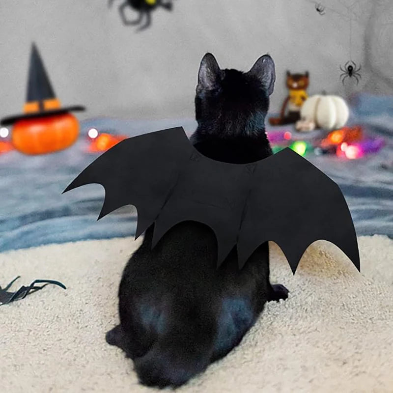 Halloween Bat Wings Costume for Dogs & Cats — Collar Lead & Cosplay Dress-Up Accessories