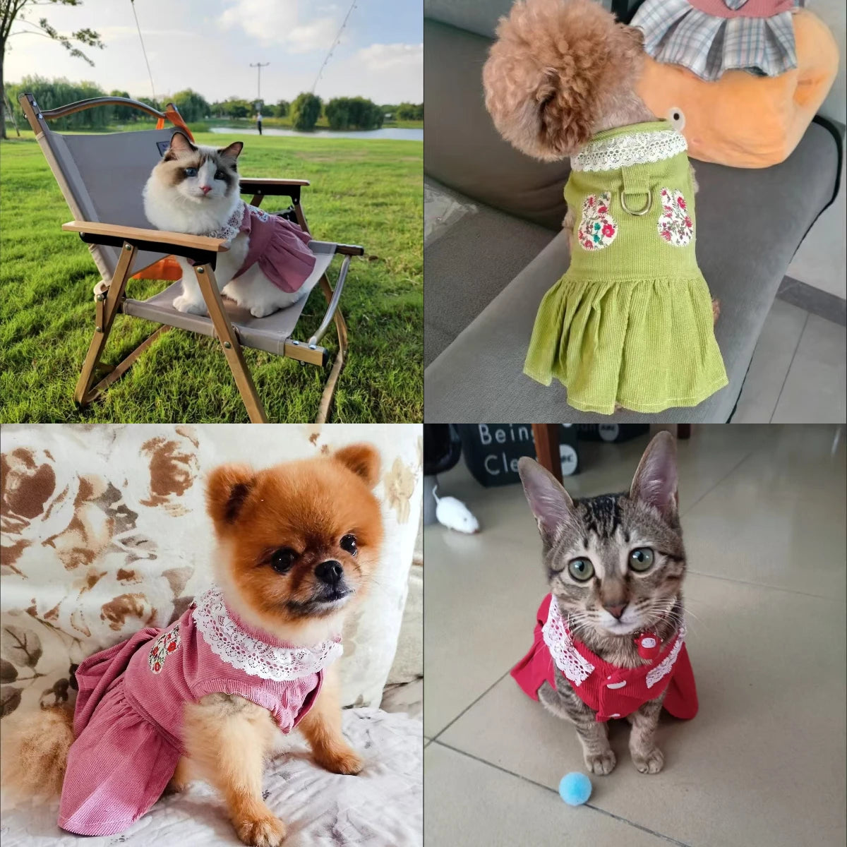 Robe et Jupe de Mariée de Princesse pour Petits Chiens et Chats