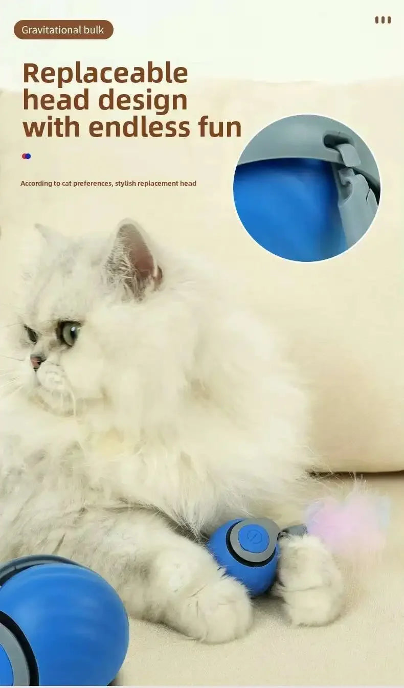 Smart Touch & Motion Activated Rolling Ball Toy for Cats & Dogs