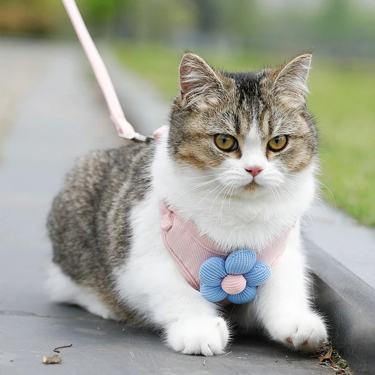 Breathable Adjustable Harness & Leash Set for Cats and Small Dogs