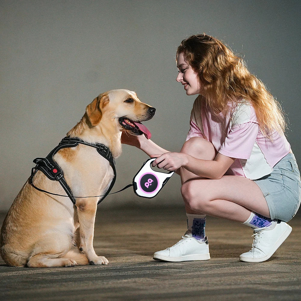 LED Retractable Dog Leash | 5M Rechargeable Light-Up Leash
