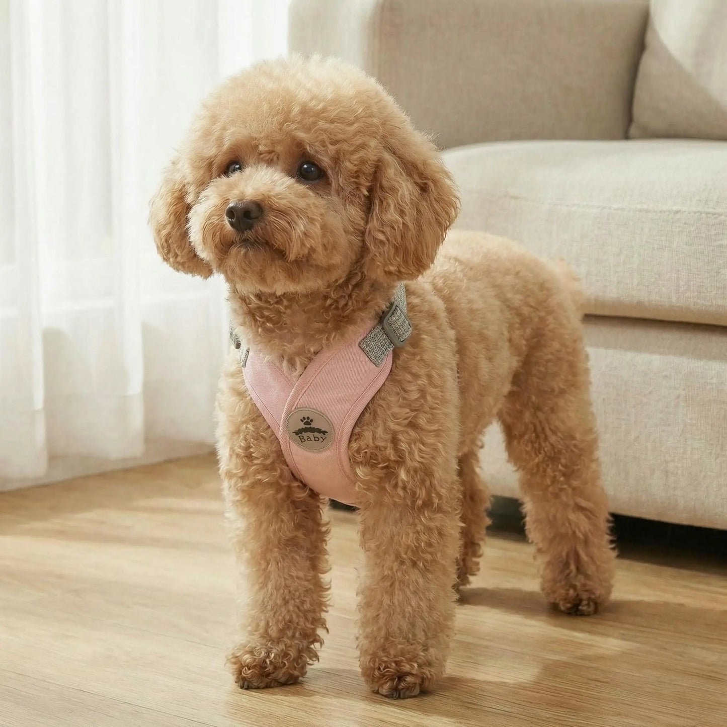 Harnais et laisse réfléchissants pour chien en forme de X | Gilet réglable à libération rapide pour petits et moyens chiens